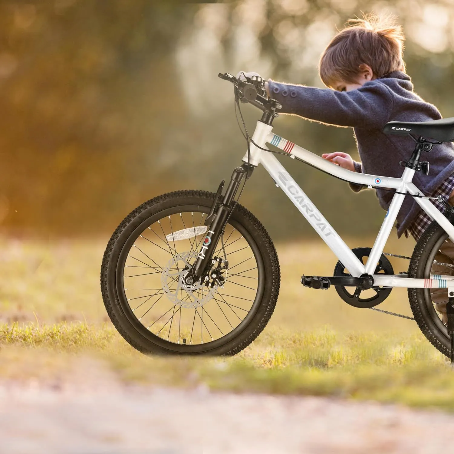 Ecarpat 20 Inch 7 speed Kids Mountain Bike With Front Suspension