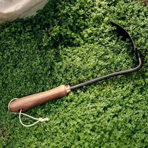 Walnut Square Weeding Hoe