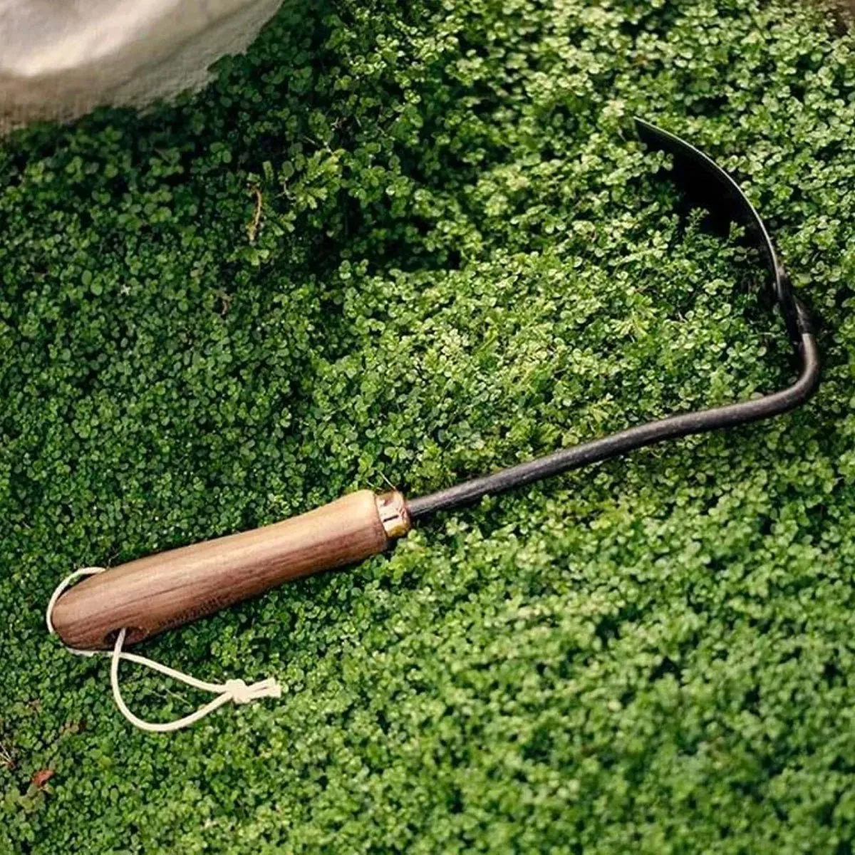 Walnut Square Weeding Hoe