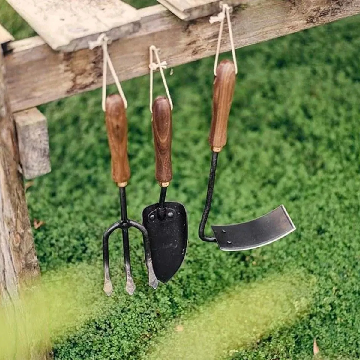 Walnut Square Weeding Hoe